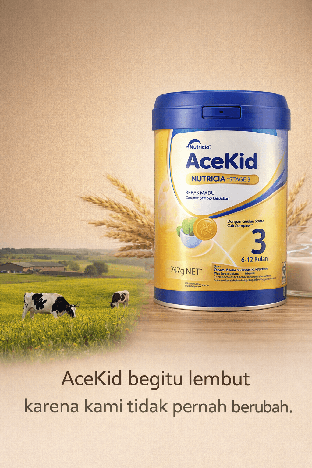 Kemasan AceKid golden toddler