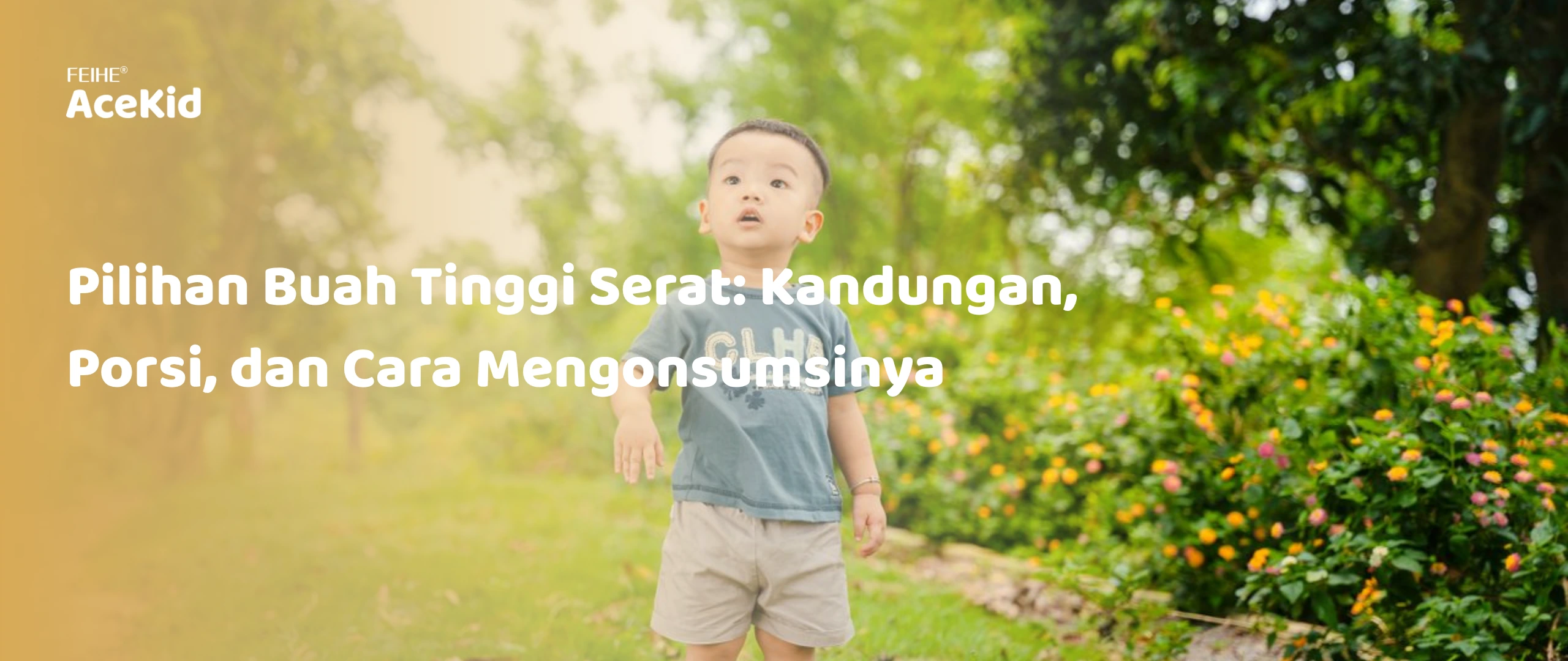Pilihan Buah Tinggi Serat: Kandungan, Porsi, dan Cara Mengonsumsinya (Source : Pexels) Pilihan Buah Tinggi Serat: Kandungan, Porsi, dan Cara Mengonsumsinya (Source : Pexels)