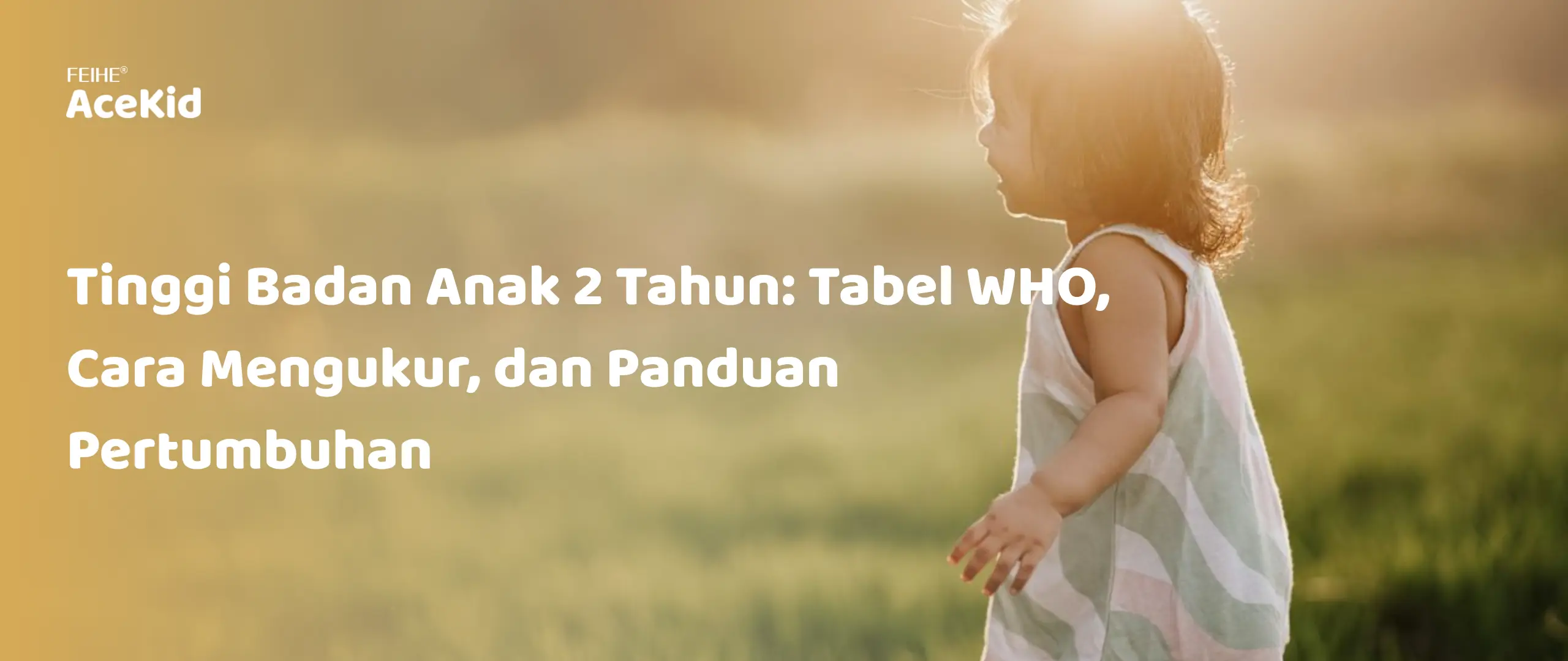 Tinggi Badan Anak 2 Tahun: Tabel WHO, Cara Mengukur, dan Panduan Pertumbuhan (Source : AceKid)